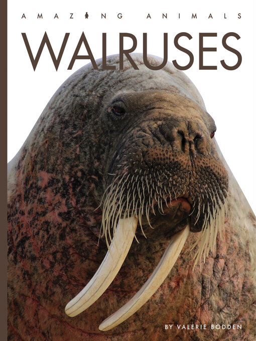 Title details for Walruses by Valerie Bodden - Available